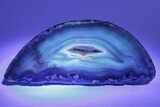 Colorful, Polished Patagonia Agate - Highly Fluorescent! #214910-3